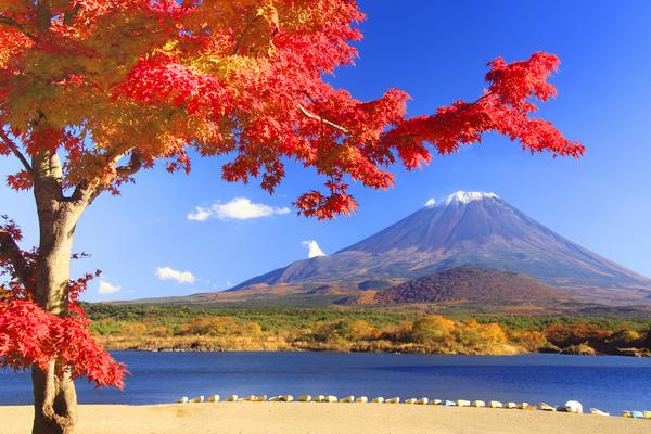 驴妈妈团购,驴妈妈门票团购