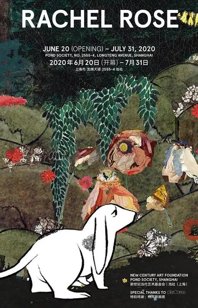 仲夏七月赴一场奔流的清凉之约,盛夏时节奔赴一场夏日之约