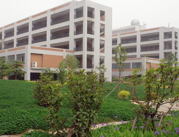 郑州港区有好学校吗,郑州港区新建的学校