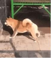 鐤儏鏈熼棿鑺卞紡浣滄,鐤儏鏈熼棿浣滄鐨勪汉