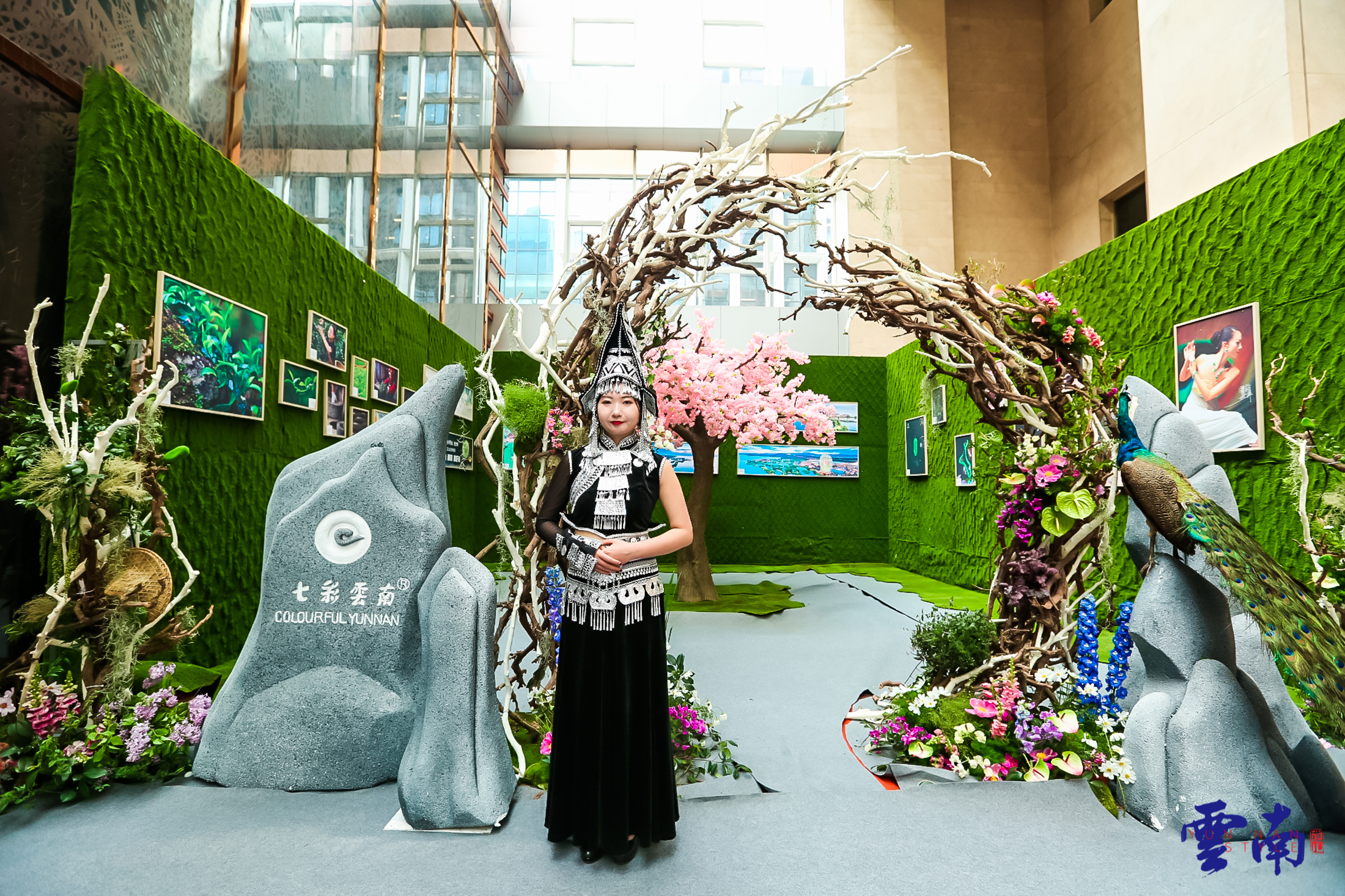 用古树普洱茶致敬美好生活，看吴晓波是如何解读“百山百味”的？