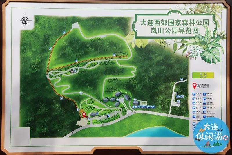 大连附近哪里有花海,大连一片花海