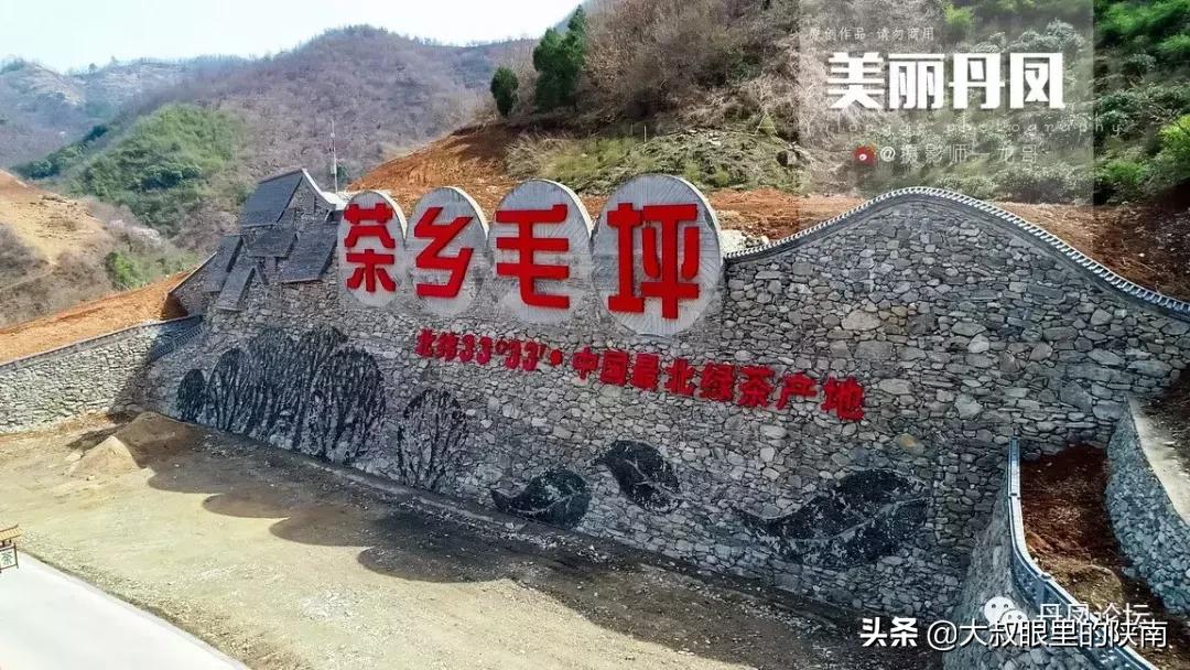 丹凤县七一建党节活动,丹凤建党