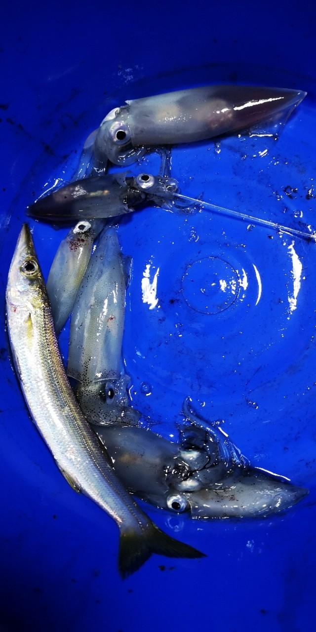 香港最后一片净土避世天堂,香港西贡一日游攻略图