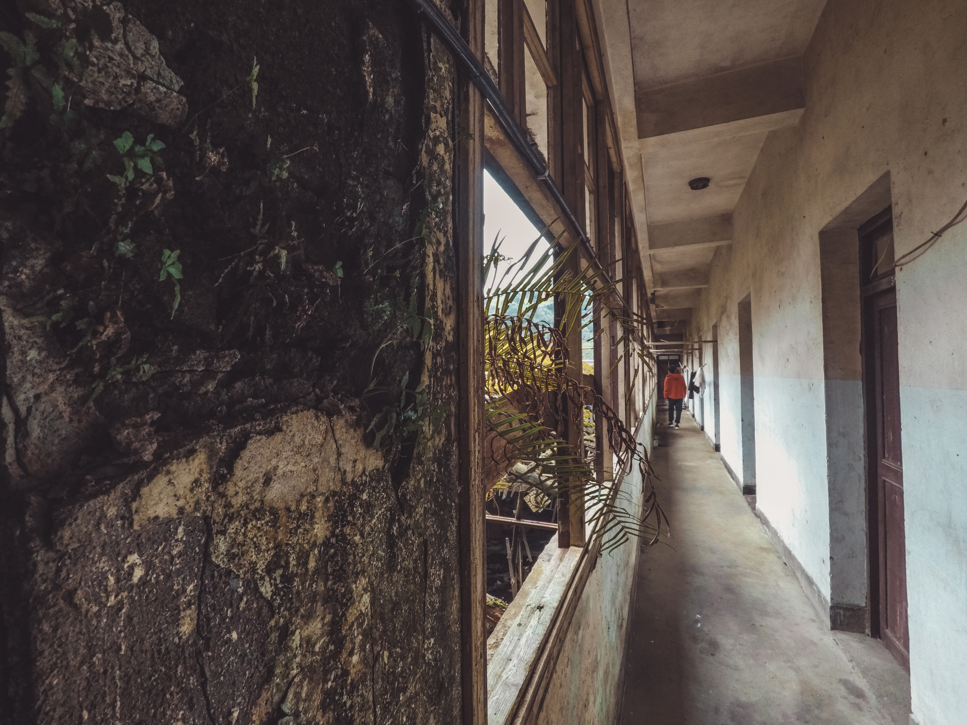 绿水青山的垦殖场