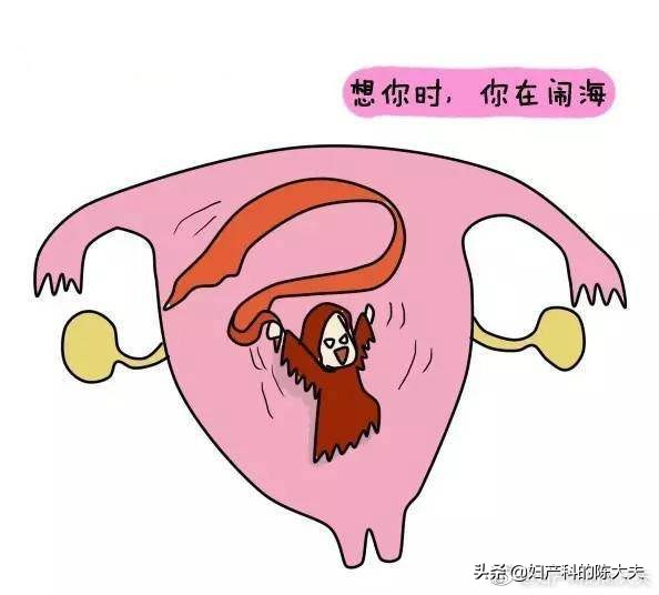 【今日陈大夫正经科普之】月经淋漓不净有哪些原因？