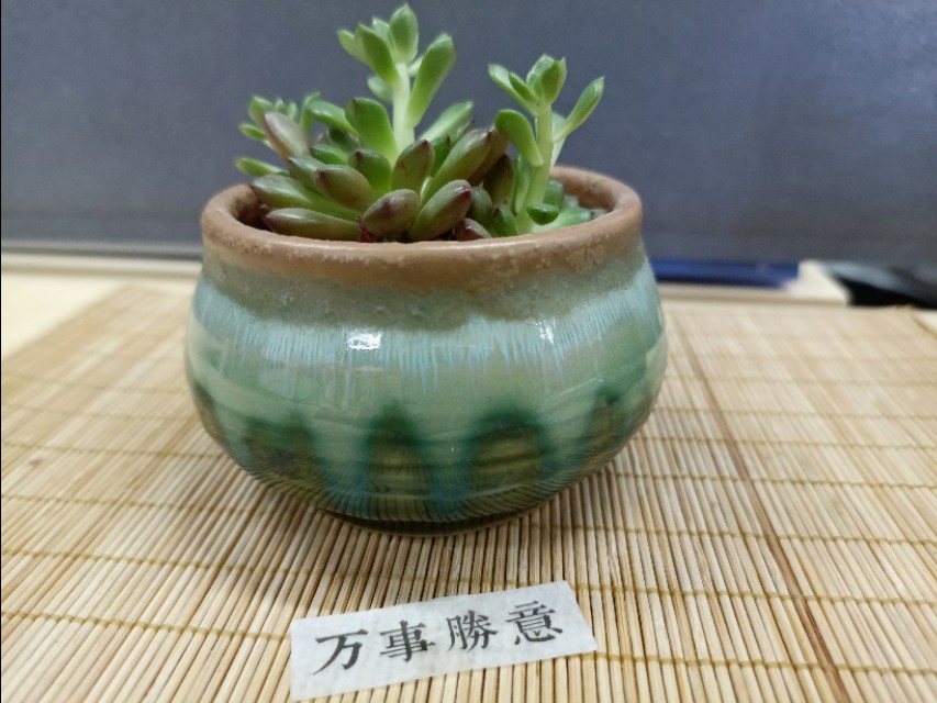 生活，因为喜欢肖战而不同