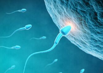 正常精子是什么特征,正常精子形态意义