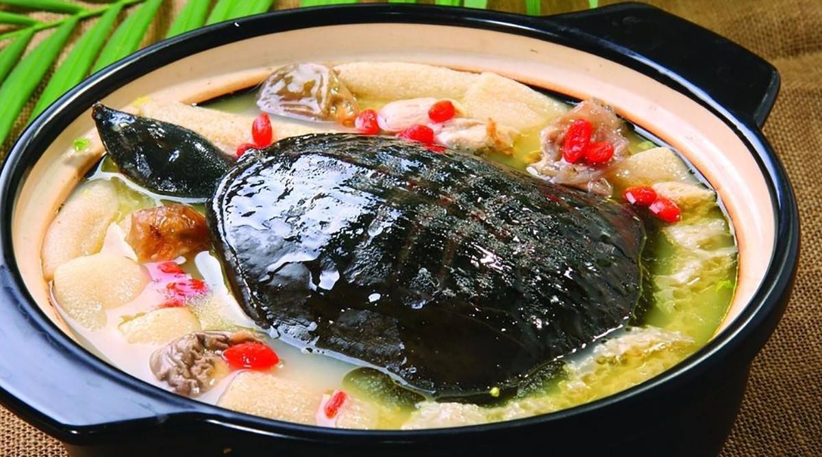 鱼塘养殖黄颡鱼甲鱼能吃吗,养殖甲鱼为什么不能吃