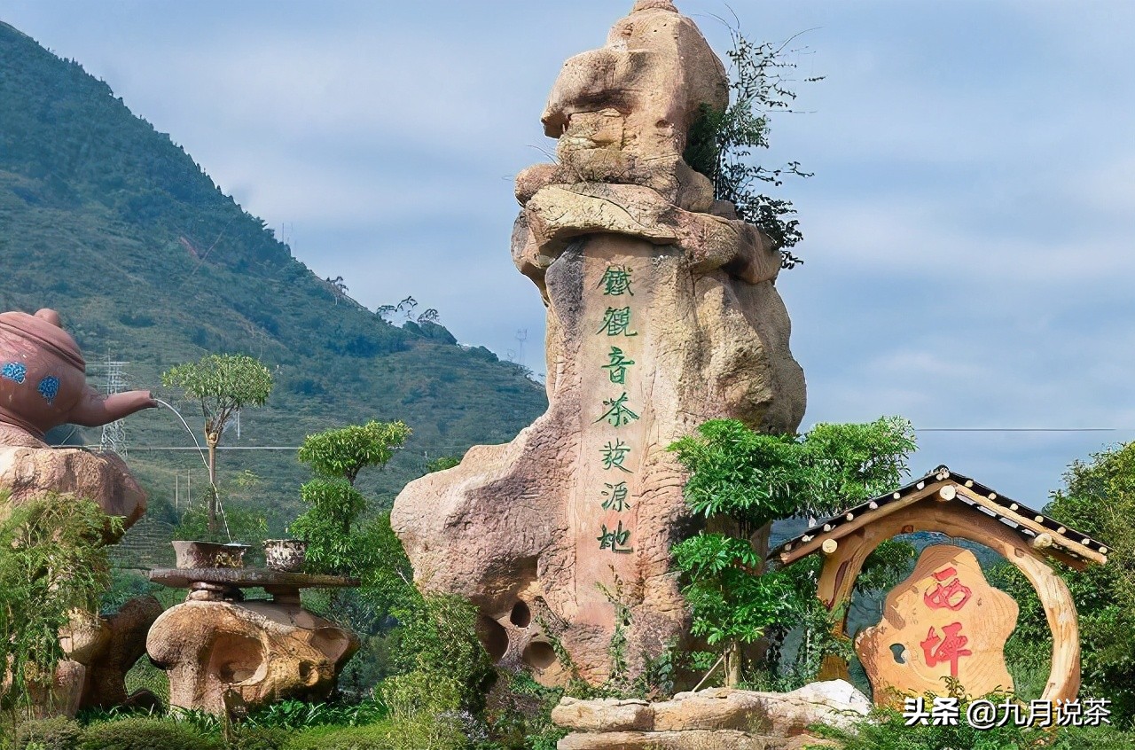 今日说茶的故事,今日说茶全部视频