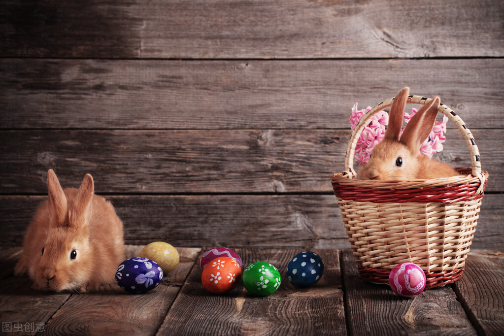 兔子脚上长癣是什么原因,兔子掉毛长癣用什么药