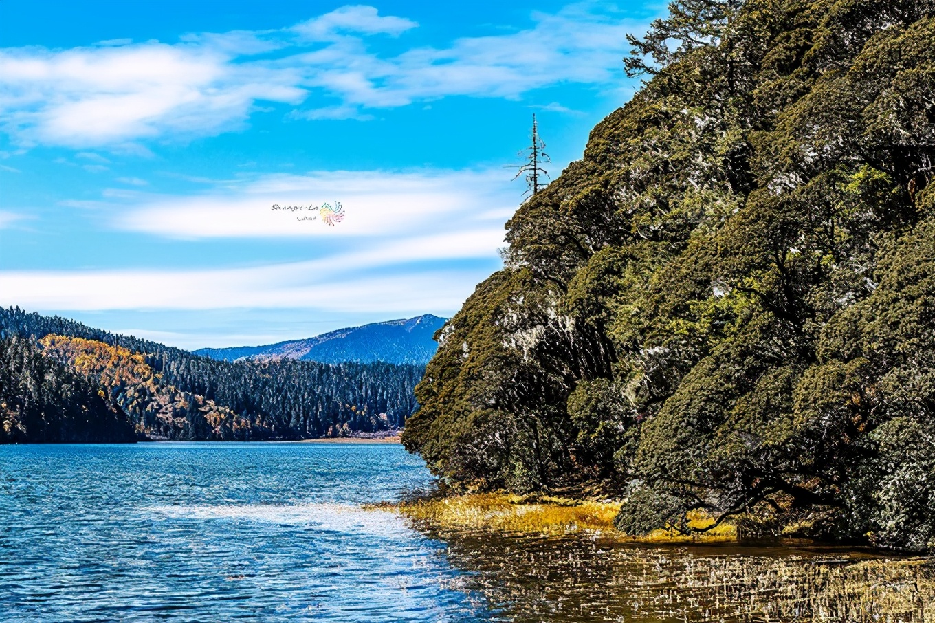 从香格里拉到德钦沿途有什么景点,云南香格里拉旅游攻略必去景点