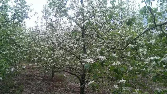 五一最佳游玩地,五一风景最好的自驾游