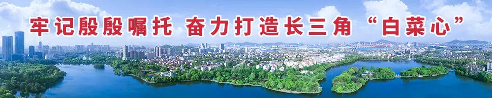 公交线路调整实时查询,公交线路调整是谁调整的