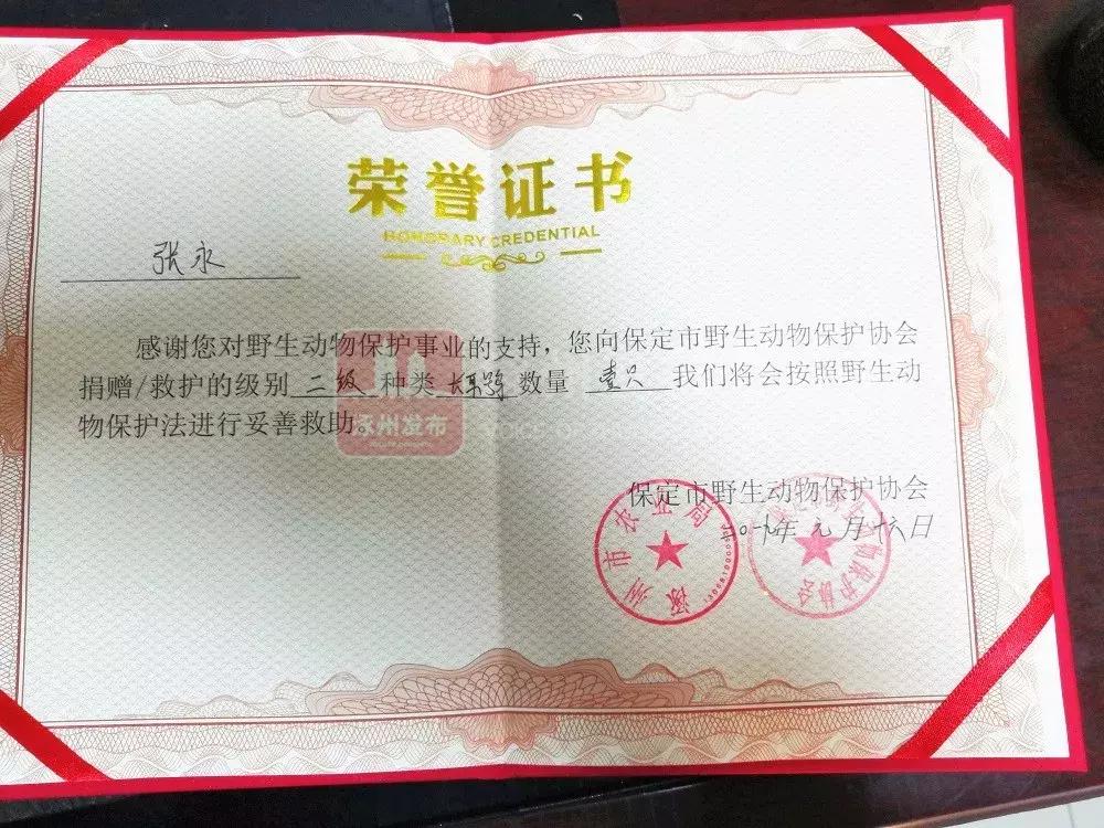 今天！涿州人都在传这段3分钟的“大鸟”视频，朋友圈都炸锅了……