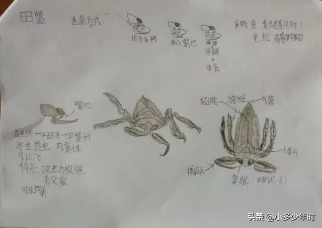 我是如何培养孩子阅读的,我是怎样培养孩子阅读的