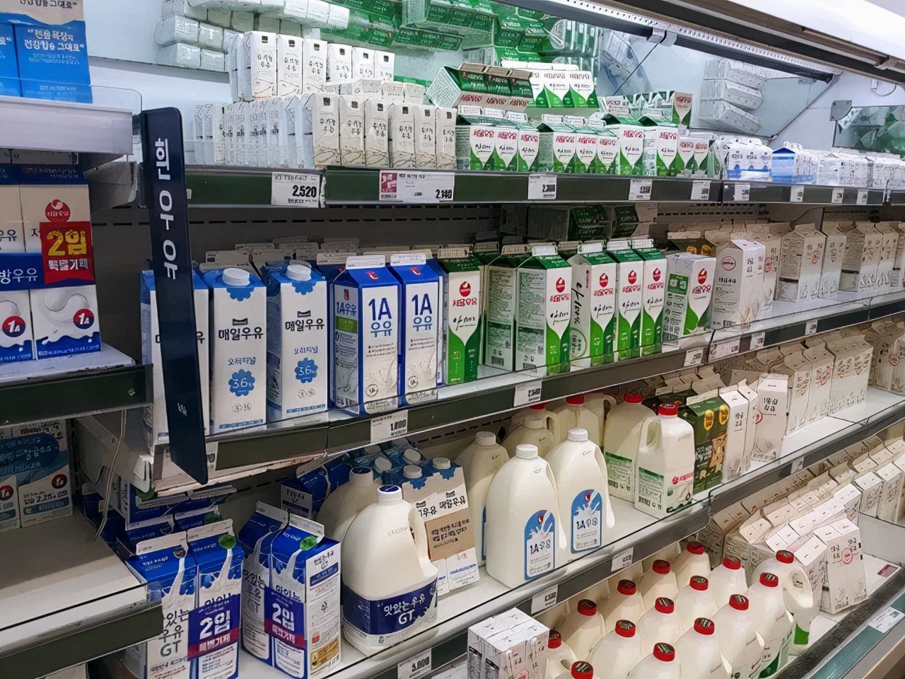 中秋过后，韩国奶价迎来上涨