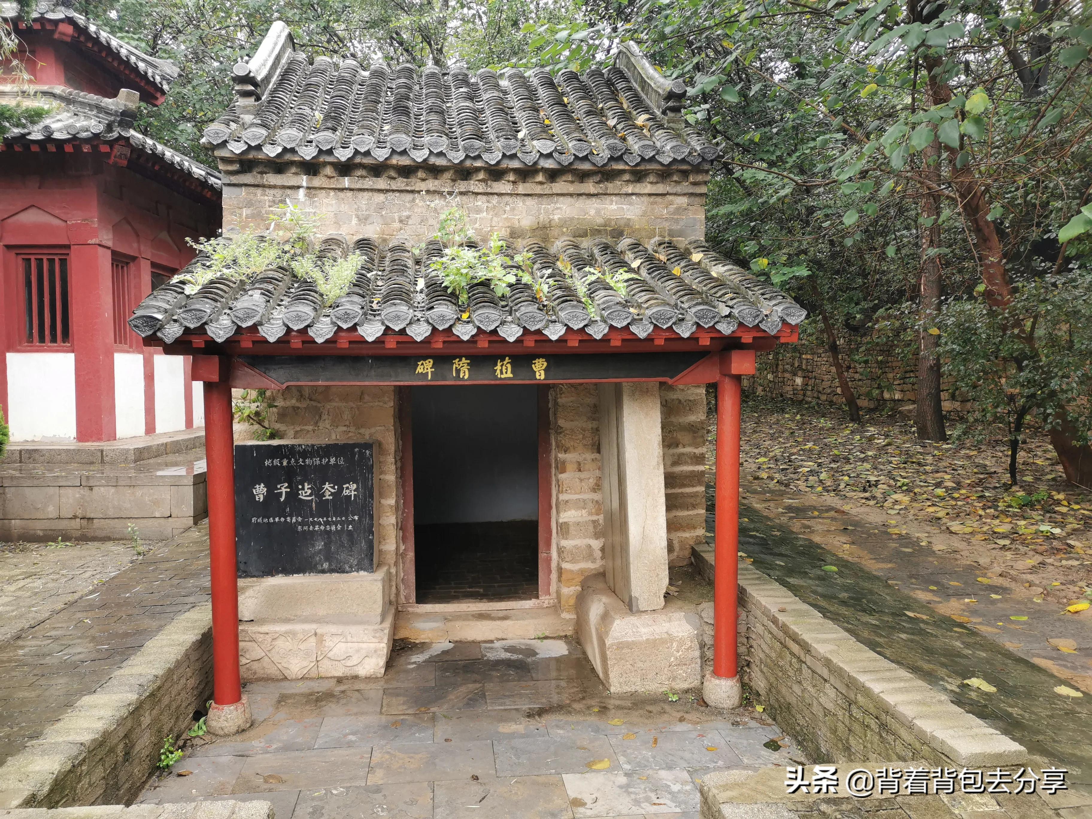 聊城阳谷旅游景点大全排名榜,阳谷县一日游景点