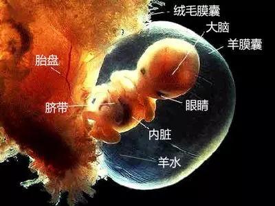 羊水破了什么感觉?有人说羊水破了感觉像尿*禁失**一样!