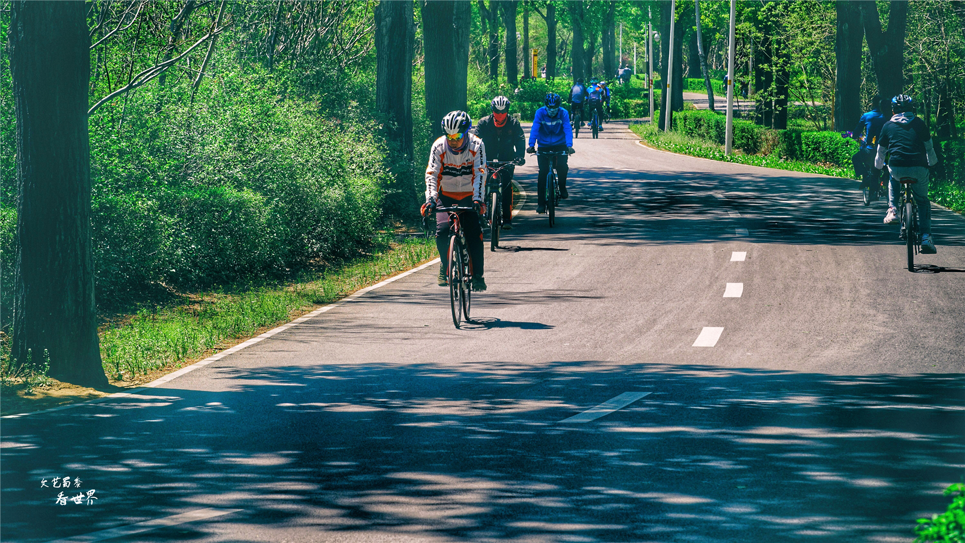 未来几年沈阳是中国最宜居城市,沈阳未来的热点城市