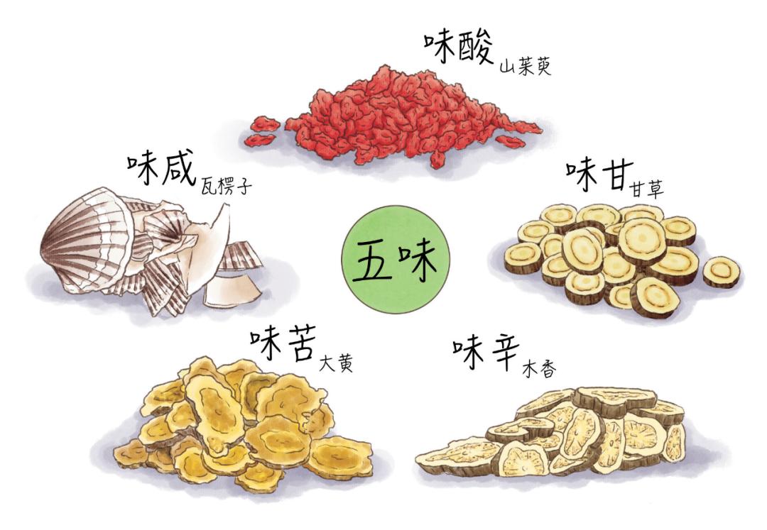 中医药文化认识,中医药养生的认知