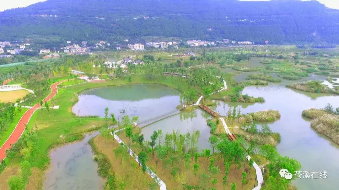 苍溪湿地公园有什么,苍溪最新湿地公园