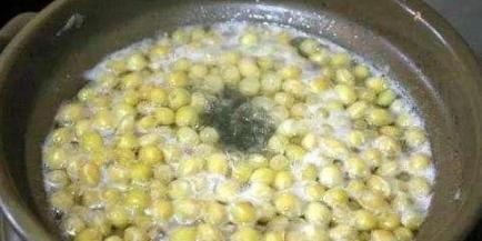 浇花实用小技巧,夏季浇花小妙招