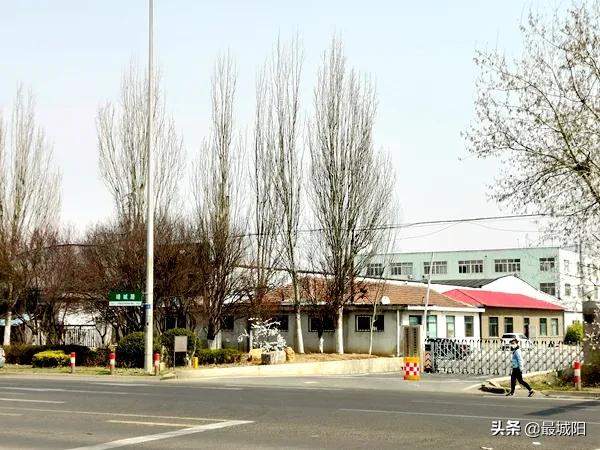 2023年亚洲杯青岛城阳体育场,青岛亚洲杯专业足球场