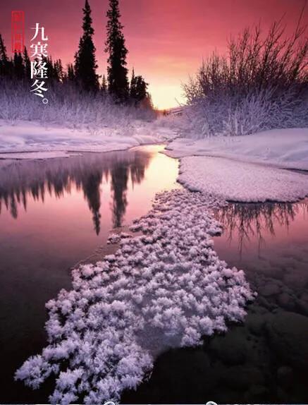 风吹腊梅香小寒日初长,风吹腊梅香的诗句