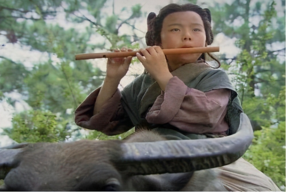 水浒入云龙,水浒政治解读