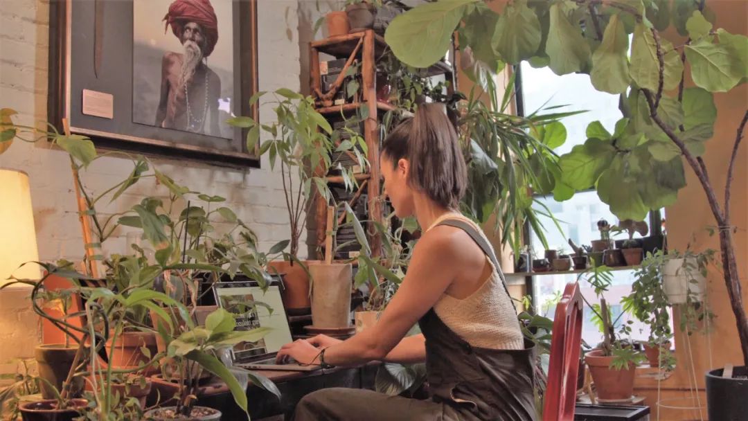 金盆洗手吧，植物杀手们