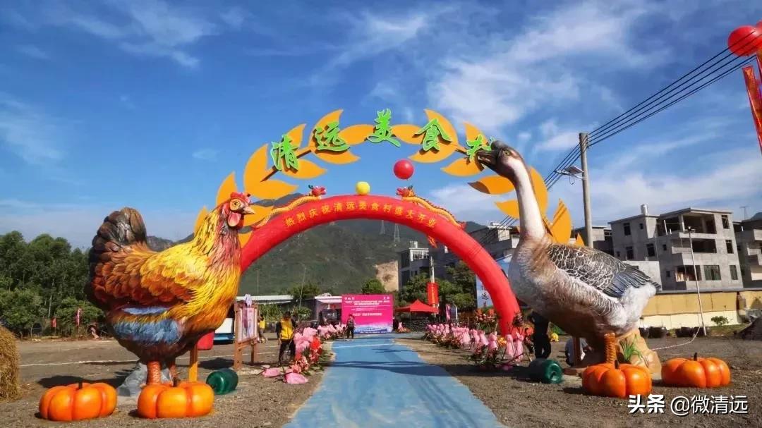 清远鹅汤圆,清远过年哪里免门票