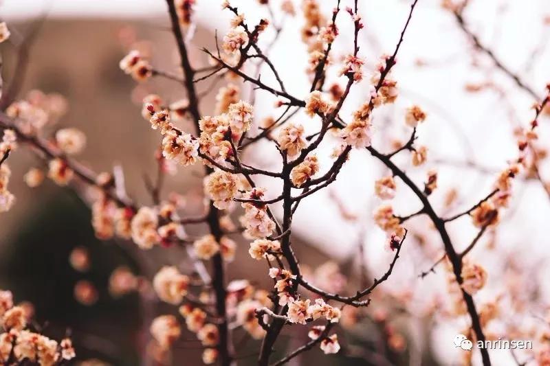 驾车从蔚县到涞源飞狐陉,蔚县飞狐陉自驾游攻略