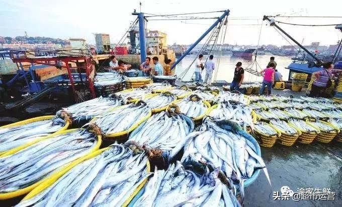 带鱼怎么挑选进口和国产,如何分辨进口带鱼