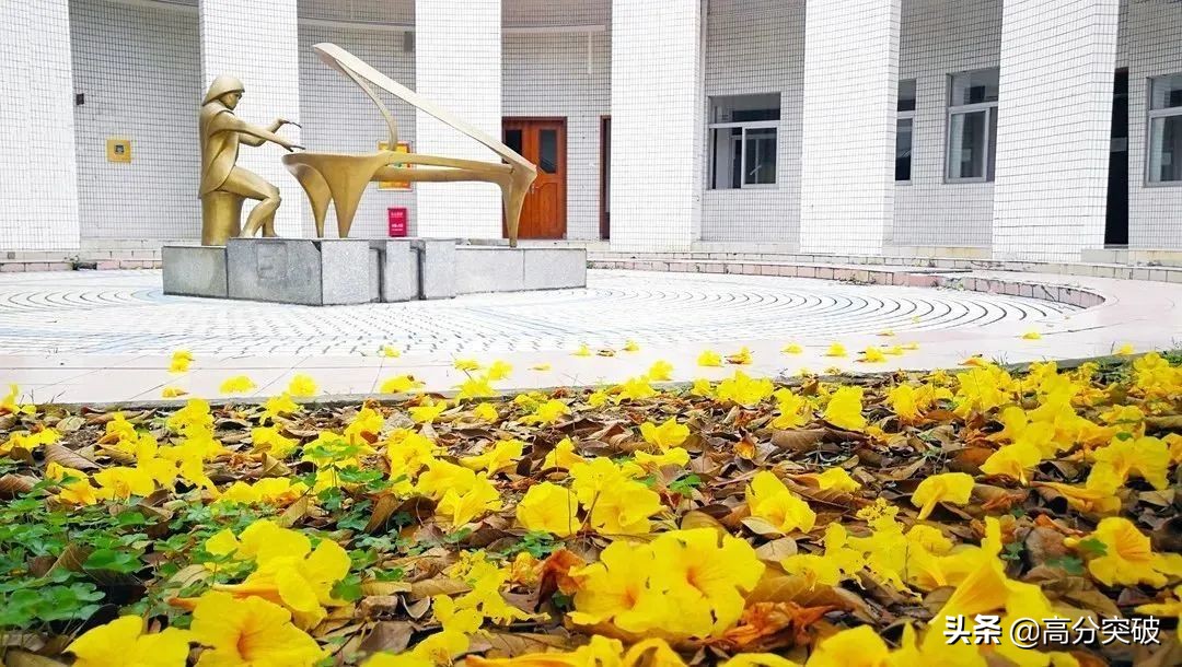 开学复课进行时,开学季告别暑假回归校园