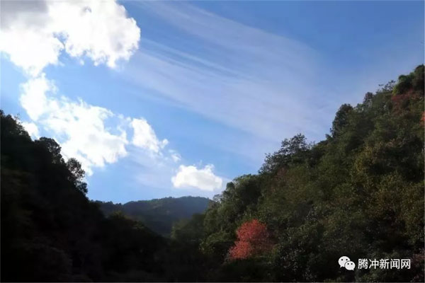 腾冲樱花谷樱花节,腾冲樱花谷最佳观赏季