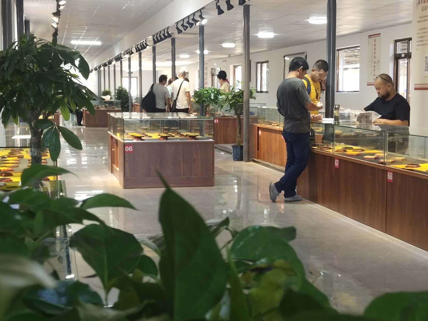 保定文化旅游发展,涞水县发展旅游