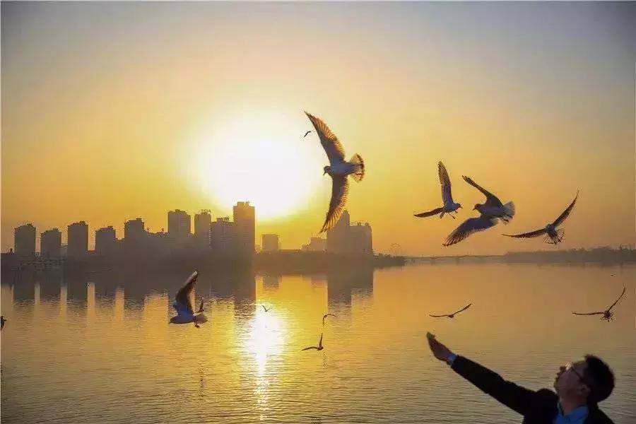 汉台半日游,汉台区一日游