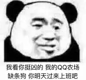 如此崩坏的相亲现场，堪称人类交配史上的灾难