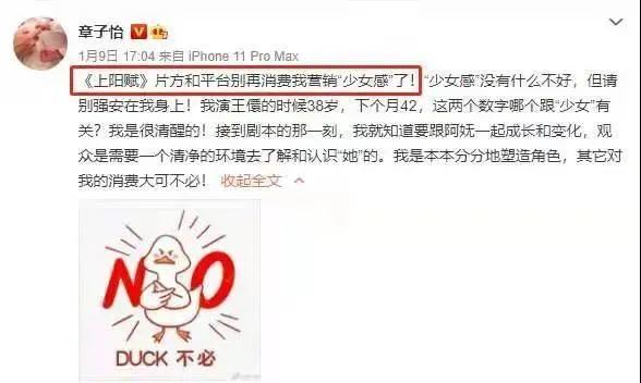 国际章演过什么电影,国际章章子怡电视剧