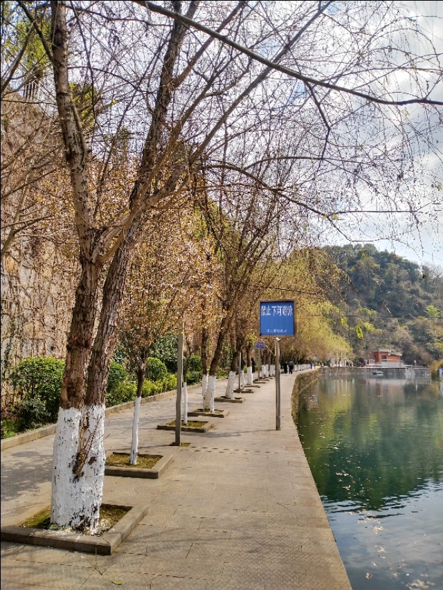 遵义三阁公园内有花吗,遵义三阁公园