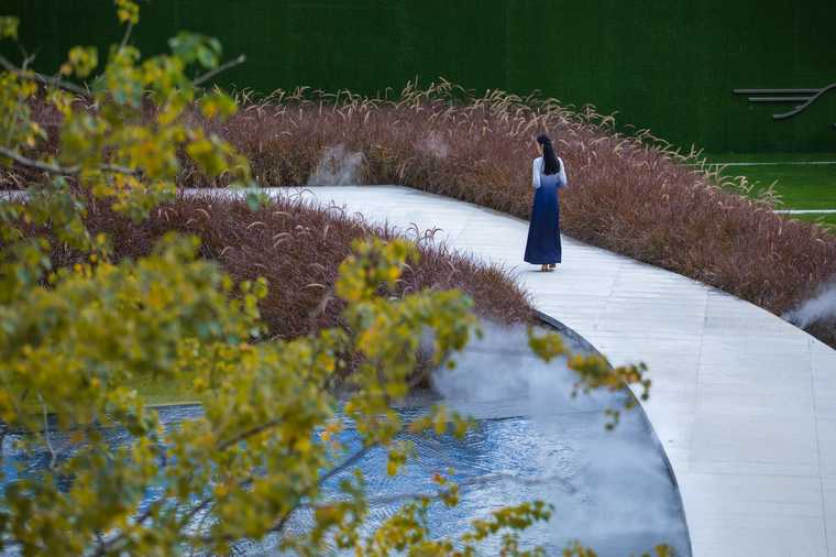 住宅区景观植物配置,居住区景观设计要点和方法有哪些