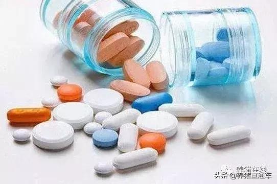 疫苗补种技巧视频,养殖户自购疫苗注意事项