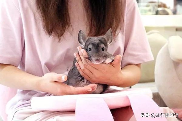 大阪小众景点,去大阪注意事项