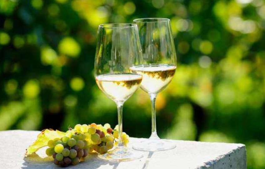 法国最好的葡萄酒是什么,西班牙葡萄酒的几大世界之最