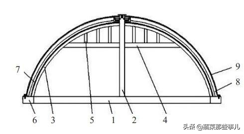 这种大拱棚坚固耐用空间大，保温性好，蔬菜定植早、上市早，黄瓜芹菜周年生产效益高