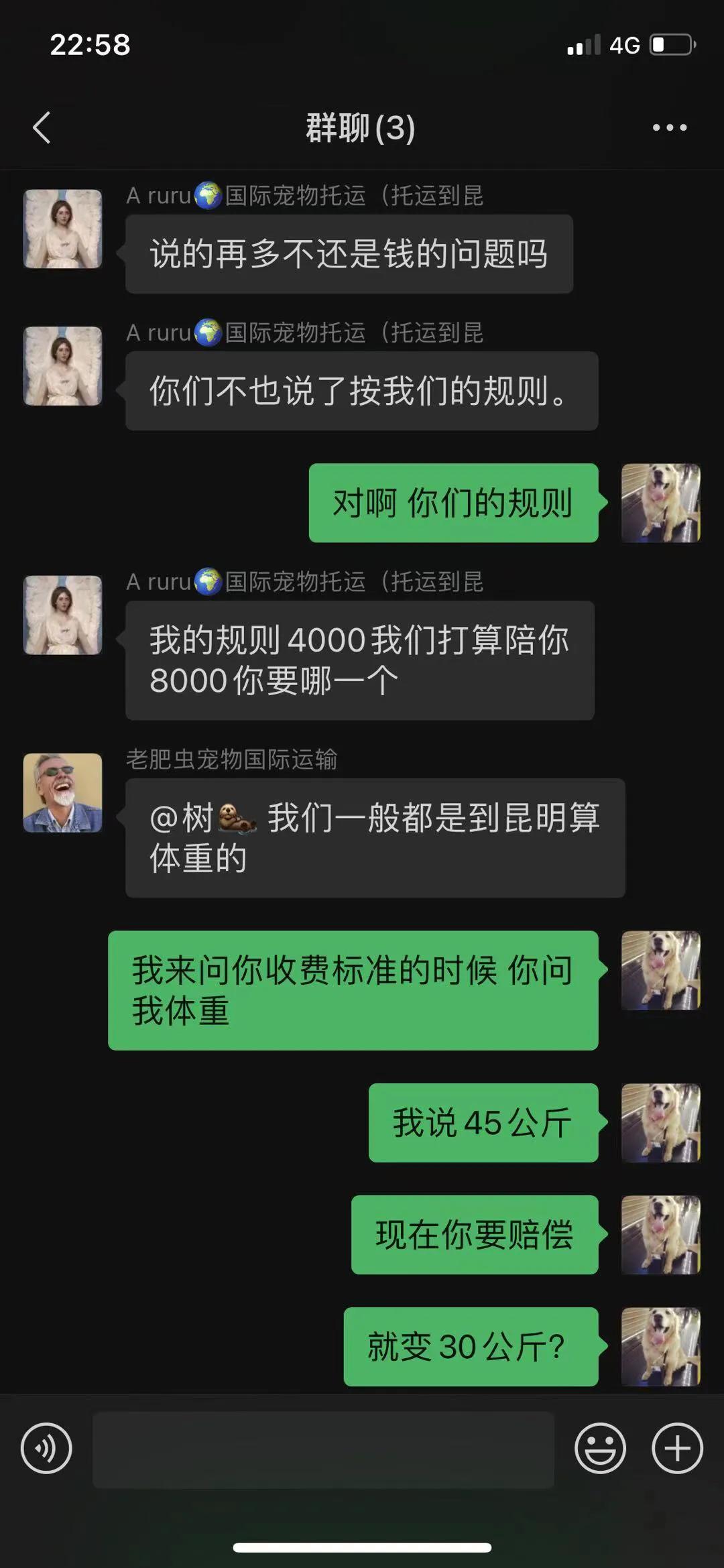 金毛siri被无良商家托运真实视频,金毛被主人丢弃了真是太可怜了