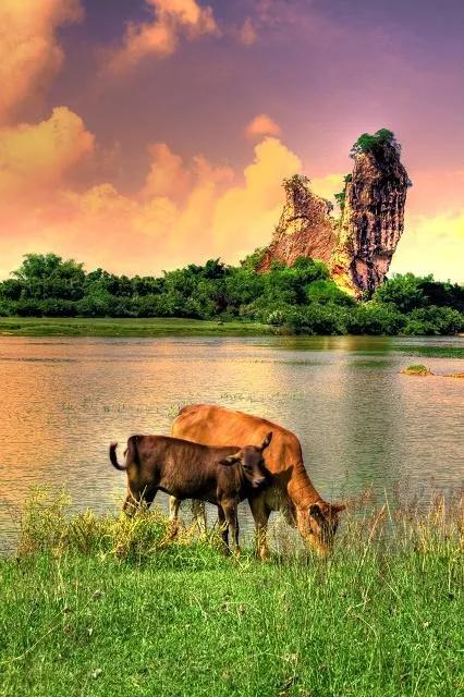 阳春旅游发展前景,阳春的城市发展