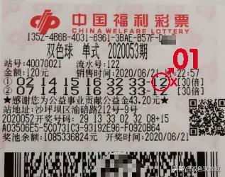 23045期双色球全国复式投注数据,双色球复式投注168元中3个球