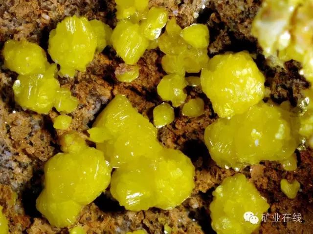 常见的矿物岩石有哪些,4种最常见于岩石里的矿物